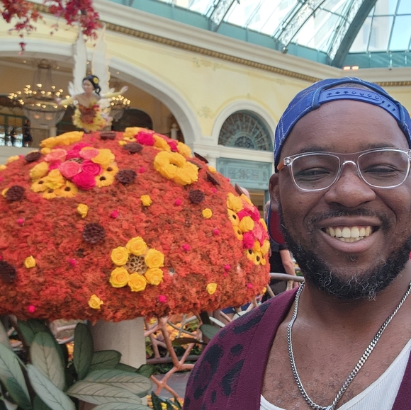 Meet your Posher, Anthony - Picture 3 of 6